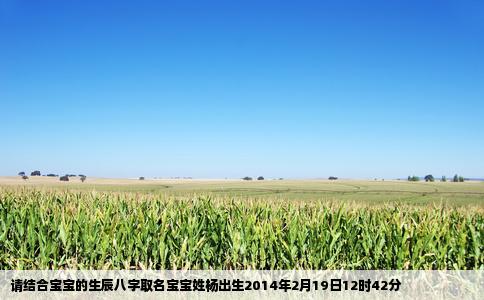 请结合宝宝的生辰八字取名宝宝姓杨出生2014年2月19日12时42分