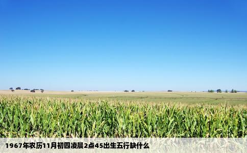 1967年农历11月初四凌晨2点45出生五行缺什么