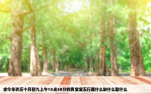 求今年农历十月初九上午10点58分的男宝宝五行属什么缺什么取什么