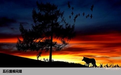 五行属相问题