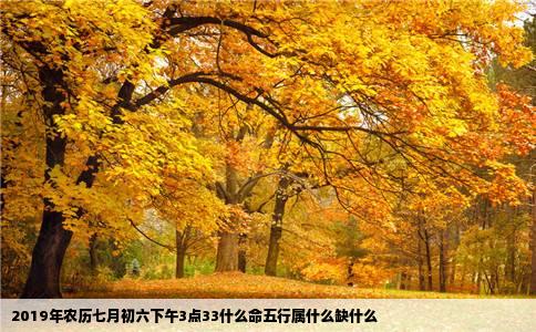 2019年农历七月初六下午3点33什么命五行属什么缺什么