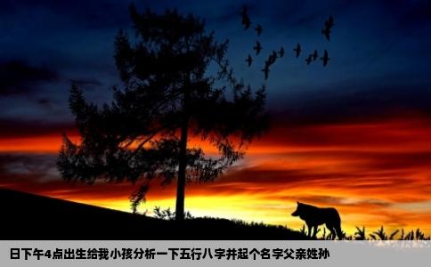 日下午4点出生给我小孩分析一下五行八字并起个名字父亲姓孙