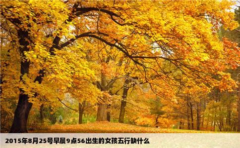 2015年8月25号早晨9点56出生的女孩五行缺什么