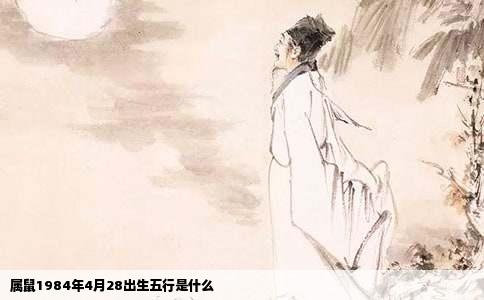 属鼠1984年4月28出生五行是什么