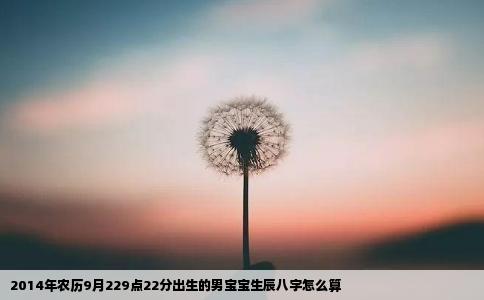 2014年农历9月229点22分出生的男宝宝生辰八字怎么算