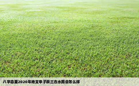 八字命里2020年地支申子辰三合水局会怎么样