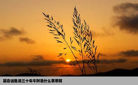 算命说我进三十年牛财是什么意思啊