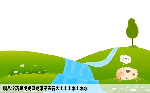 啊八字丙辰戊戌甲戌甲子五行火土土土木土木水