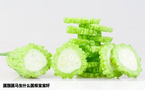 属猴属马生什么属相宝宝好