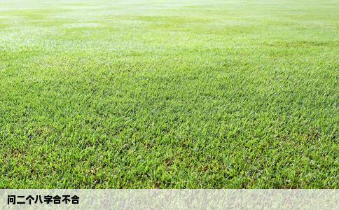 问二个八字合不合