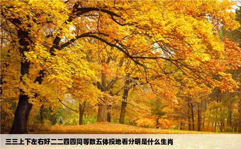 三三上下左右好二二四四同等数五体投地看分明是什么生肖