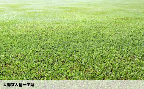 大脚女人猜一生肖