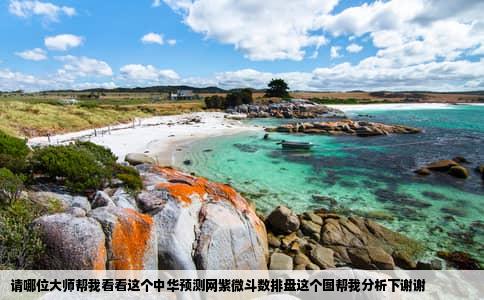 请哪位大师帮我看看这个中华预测网紫微斗数排盘这个图帮我分析下谢谢