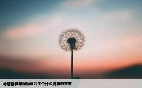 马爸爸和羊妈妈适合生个什么属相的宝宝