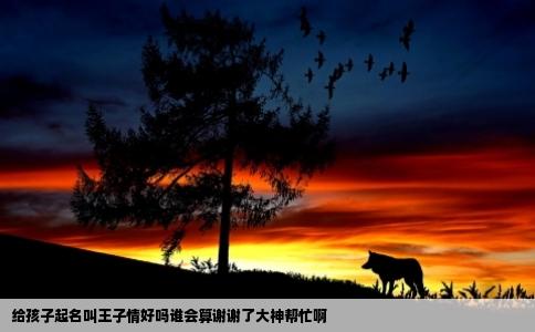 给孩子起名叫王子情好吗谁会算谢谢了大神帮忙啊