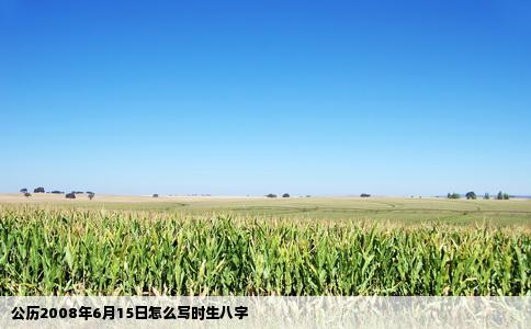 公历2008年6月15日怎么写时生八字