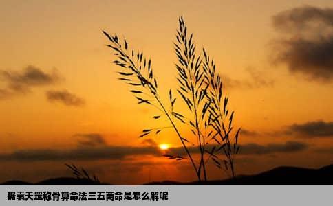 据袁天罡称骨算命法三五两命是怎么解呢