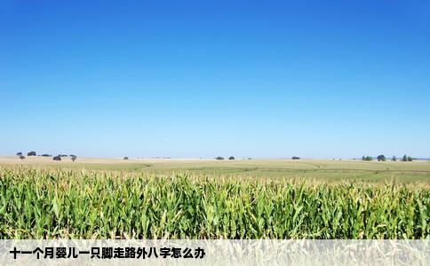 十一个月婴儿一只脚走路外八字怎么办