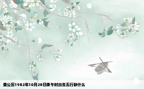 查公历1982年10月28日庚午时出生五行缺什么