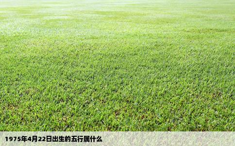 1975年4月22日出生的五行属什么