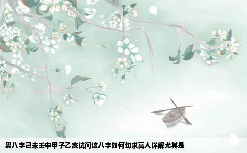 男八字己未壬申甲子乙亥试问该八字如何切求高人详解尤其是