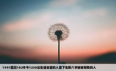1991阳历102中午1230出生请会算的人算下生辰八字谢谢帮助的人