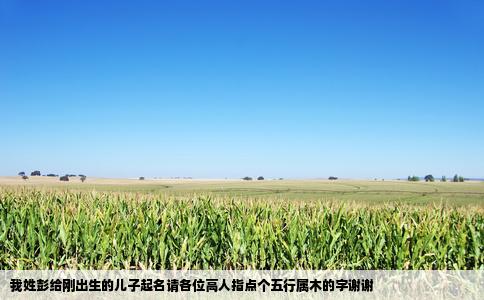 我姓彭给刚出生的儿子起名请各位高人指点个五行属木的字谢谢