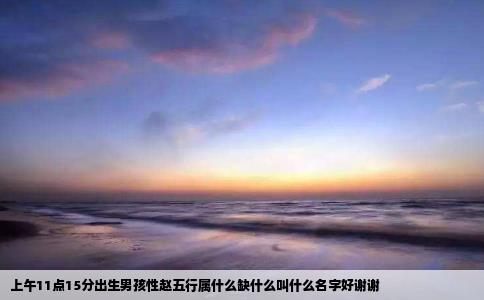 上午11点15分出生男孩性赵五行属什么缺什么叫什么名字好谢谢