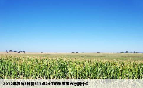 2012年农历3月初511点24生的男宝宝五行属什么