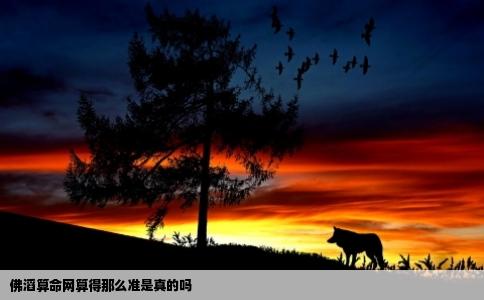 佛滔算命网算得那么准是真的吗