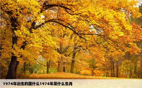 1974年出生的属什么1974年是什么生肖