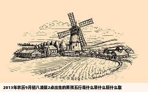 2013年农历9月初八凌晨2点出生的男孩五行是什么忌什么旺什么取