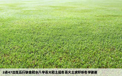 2点47出生五行缺金和水八字喜火和土起名喜火土求好听名字谢谢