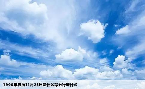 1990年农历11月25日是什么命五行缺什么
