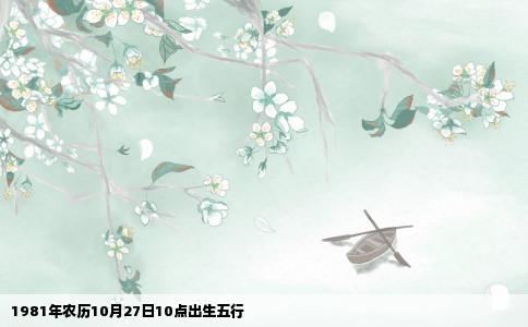 1981年农历10月27日10点出生五行