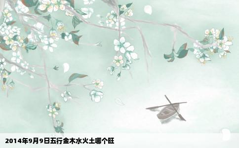 2014年9月9日五行金木水火土哪个旺