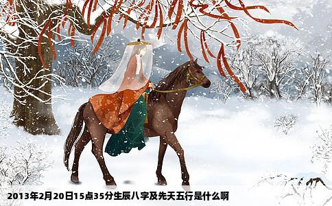 2013年2月20日15点35分生辰八字及先天五行是什么啊