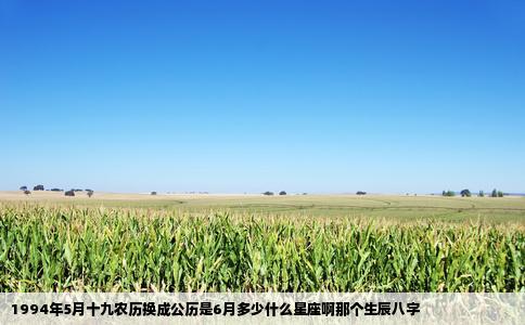 1994年5月十九农历换成公历是6月多少什么星座啊那个生辰八字