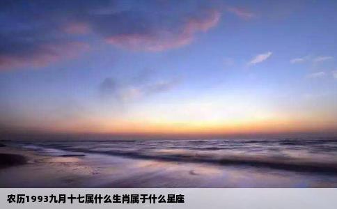 农历1993九月十七属什么生肖属于什么星座