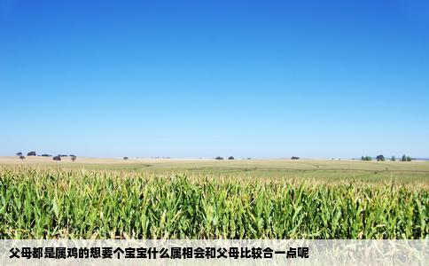 父母都是属鸡的想要个宝宝什么属相会和父母比较合一点呢