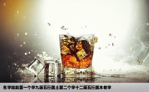 名字娃赵第一个字九画五行属土第二个字十二画五行属木老字