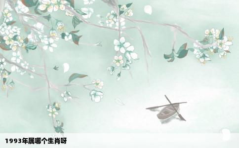 1993年属哪个生肖呀