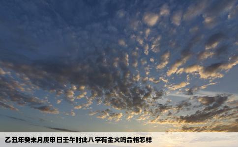 乙丑年癸未月庚申日壬午时此八字有金火吗命格怎样