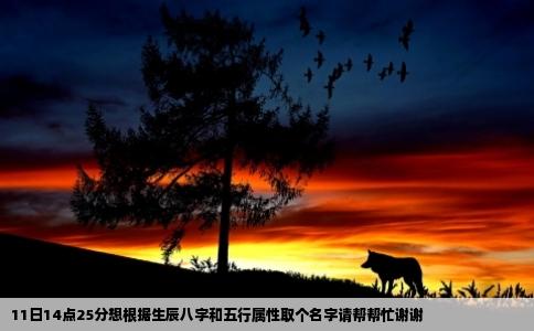 11日14点25分想根据生辰八字和五行属性取个名字请帮帮忙谢谢