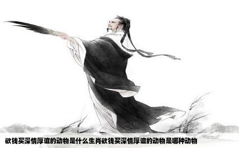 欲钱买深情厚谊的动物是什么生肖欲钱买深情厚谊的动物是哪种动物