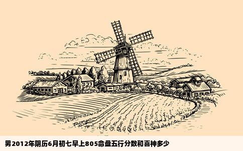 男2012年阴历6月初七早上805命盘五行分数和喜神多少