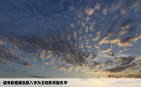请专家根据生辰八字为王姓男孩取名字