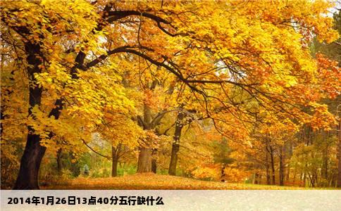 2014年1月26日13点40分五行缺什么
