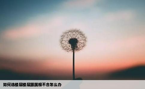 如何选楼层楼层跟属相不合怎么办