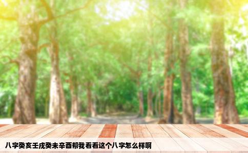 八字癸亥壬戌癸未辛酉帮我看看这个八字怎么样啊